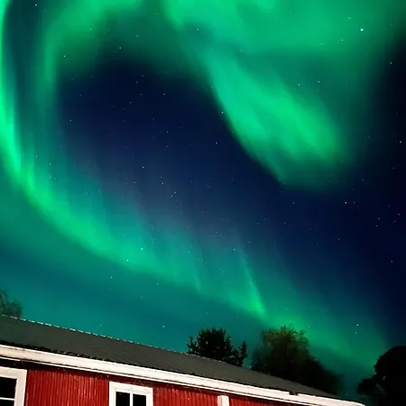 Kauppila 3*